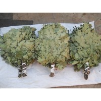 Дубовый ЭКОНОМ веник для бани